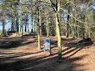 Music in the forest? For some reason this metal xylophone with, - via Daymix