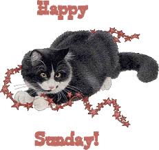 images?q=tbn:ANd9GcTV0aUXnEOGiDvX6fv69FKxrKw3JXKkoQlg0SBOp1rDAG8Xbv9C-w78HLlImg