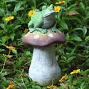 Outdoor Garden Decor Frogs Photograph | Frog on Mushroom Gar