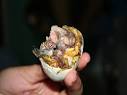 balut « Too Boots