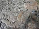 NG4422 : Onion Skin weathering - via Daymix
