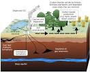 File:Carbon sequestration-2009-10-07.svg - Wikipedia, the free ...