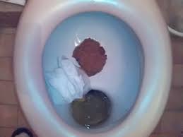 images?q=tbn:ANd9GcTVfAStbz-ErBki8uMz-6bfArOG1a0yxoUmDRG_66CK0oJVr2E&t=1&usg=__tLNgfEuT1AukyhjHsg6HtwKchUA=