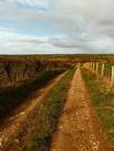 Long view along this farm track to Aries Knowes Farm centre of picture on - via Daymix