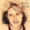 AN EVERLASTING LOVE LYRICS - ANDY GIBB