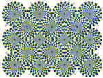 Akiyoshi's illusion pages