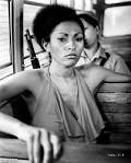 Pam Grier Image Picture of Pam Grier Picture 5