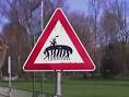 weird street sign