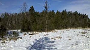 Hirschbühel