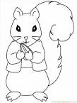 Squirrel coloring page