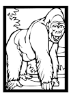 Ape coloring page