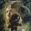 Delta Dawn (album) - Wikipedia, the free encyclopedia