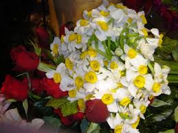 <a href='http://t1.gstatic.com/images?q=tbn:ANd9GcTWX5_1BBMIni24uVTZr7Phebac1RzU063pC5HLE7TkiX-qxZVpIA' rel=