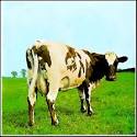 David Gilmour To Join <i>Atom Heart Mother</i> (You Heard Me ...