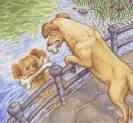 Jennifer Gwynne Oliver Illustration - Childrens book Illustration