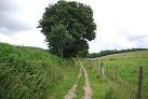 The county owes its origins to the kingdom of the South Saxons and can claim - via Daymix
