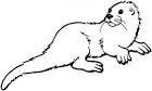 Otter coloring page