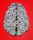 The Economist: Brain | Ads of the World