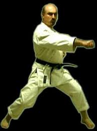 Welcome to Homepage of Ali Darwish, 5th Dan Shotokan Karate Instructor - fudo_dachi