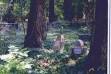 Dominick Barrett
 (1773 -  1840 ...