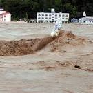 17 foreigners rescued, 1000 stranded pilgrims sighted between ...