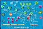 BioCarta - Charting Pathways of Life