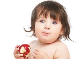 Baby Eating an Apple