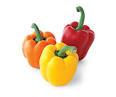 Seasonal Produce: Bell Peppers