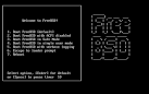 Starting the Installation