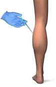 http://t1.gstatic.com/images?q=tbn:ANd9GcTY45lRj0KuQ6_7n095B1iCTKPHz7M-33ksciPdz-xQRM2vrYrjKjEdZJpq
