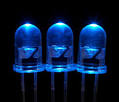 LED Lighting Information Blue LED Lights – Firefly LED Lighting