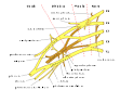 250px-Brachial_plexus_2.svg.png
