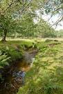 Warwickslade Cutting: animal crossing place - via Daymix