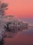 Winter Color Photograph by Leland Howard - Winter Color Fine Art ...