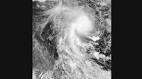 Australia wrecked as tropical cyclones subside | The Indian Express