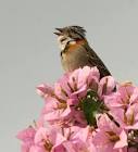 Bill Hubick Photography