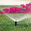 Lawn Sprinkler Our irrigation