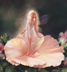 http://t1.gstatic.com/images?q=tbn:ANd9GcTZYNFvFm_D2PM2bMs7rOYO2saXNma6AdER3FBGSwW4bXVH_BMH