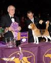 Dr. J. Donald Jones, Westminster's 2008 Best In Show Judge On The ...