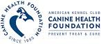 University of Minesota Research Discovery May Help Combat Bone Cancer