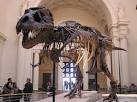 CNN Shows The Field Museum Some Love: Chicagoist