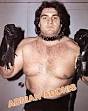 Adrian Adonis - Pro Wrestling Wiki - Divas, Knockouts, Results ...
