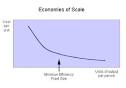Competitive Advantage: Economies of Scale
