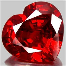 http://t1.gstatic.com/images?q=tbn:ANd9GcT_NP5nVo2qogwTg0KIVmI5K2hhc97tRy7ljdFZwBAZbgn67fssYQ
