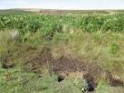 Located using Garmin GPS! The point at which the course of the roman road - via Daymix