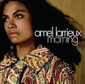 Amel Larrieux Lyrics - Lyric Wiki - song lyrics, music lyrics