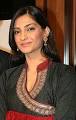 http://upload.wikimedia.org/wikipedia/commons/thumb/a/ae/SonamKapoor.jpg/220px-SonamKapoor.jpg