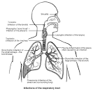 <b>infections</b> of the <b>respiratory</b>