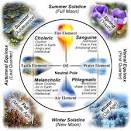 The Four Temperaments and The Petty Tyrant « Love Journeying