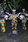 Kalimantan wildlife Safari Tours | Orangutan Trips | Dayak culture ...